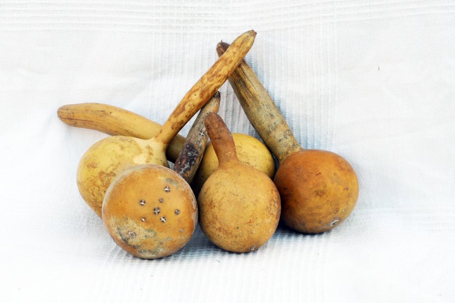 Ø7-8 cm Flasche Kalebasse - Kürbisflasche