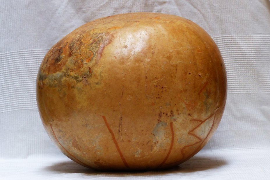 Ø59-60 cm runde Kalebasse - Kugelförmiger Kürbis