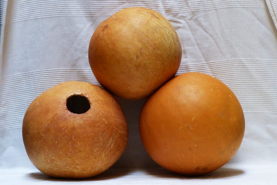 Ø17-18 cm runde Kalebasse - Kugelförmiger Kürbis